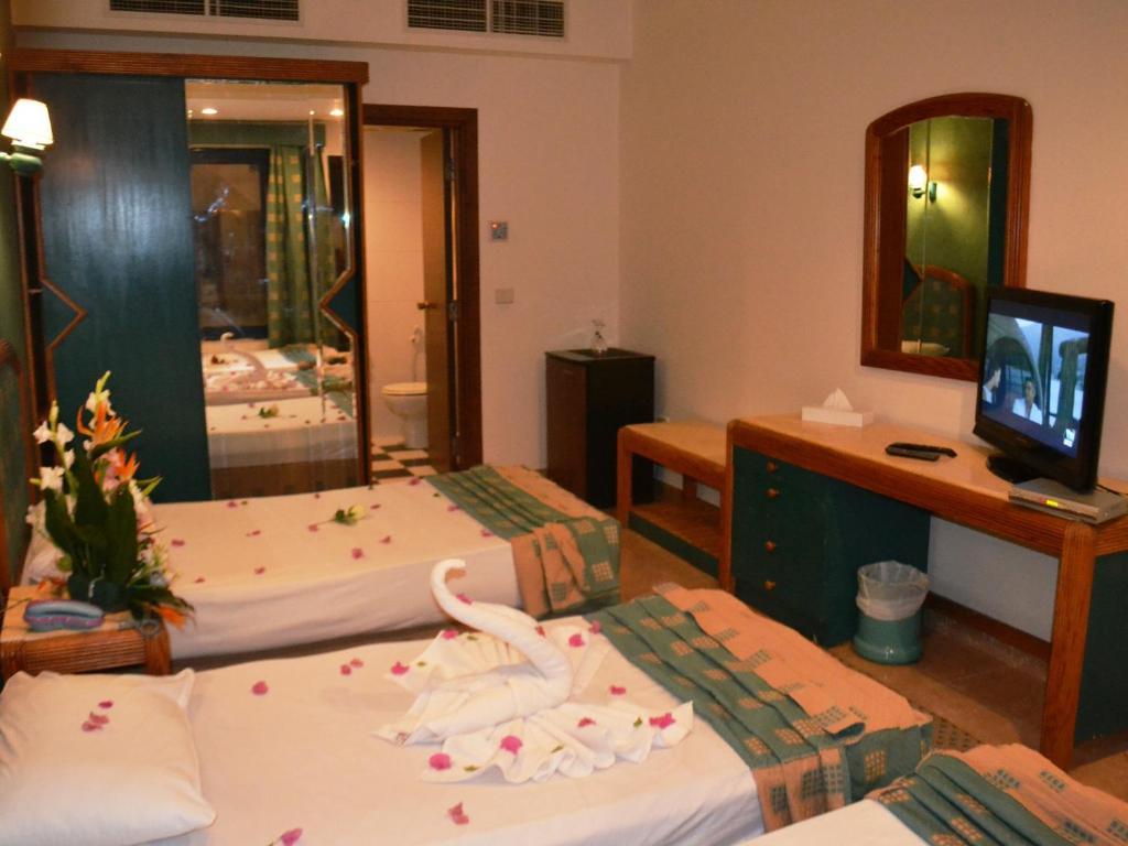 Aida 2 Hotel Naama Bay Šarm aš-Šajch Pokoj fotografie